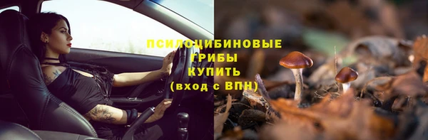 MESCALINE Алзамай