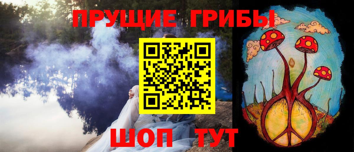 Псилоцибиновые грибы Cubensis Раменское