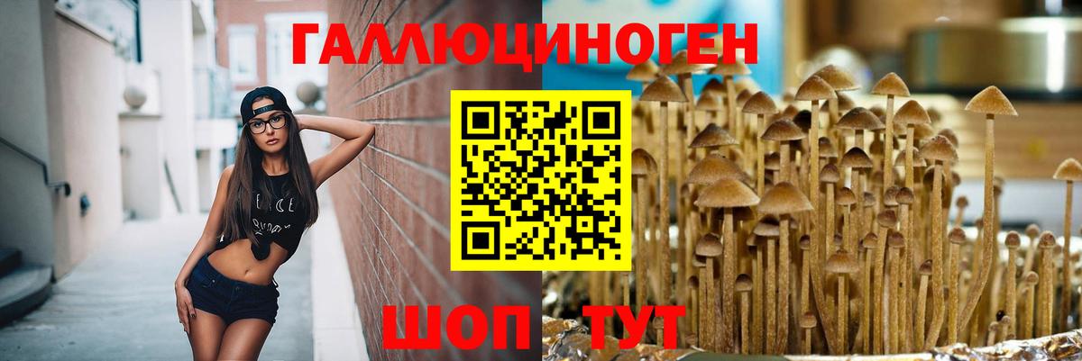Галлюциногенные грибы Cubensis  Вход с VPN  Раменское  Галлюциногенные грибы мицелий 